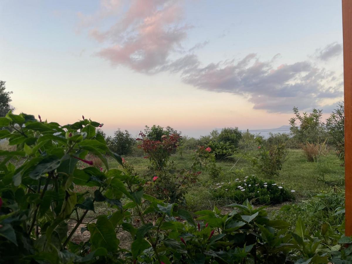 Chrissi's House With Garden And Sea View Zerviana Holiday home *